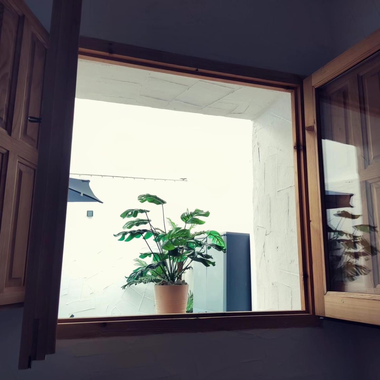 Apartamento La Lola - Patio Privado Херес-де-ла-Фронтера Екстер'єр фото